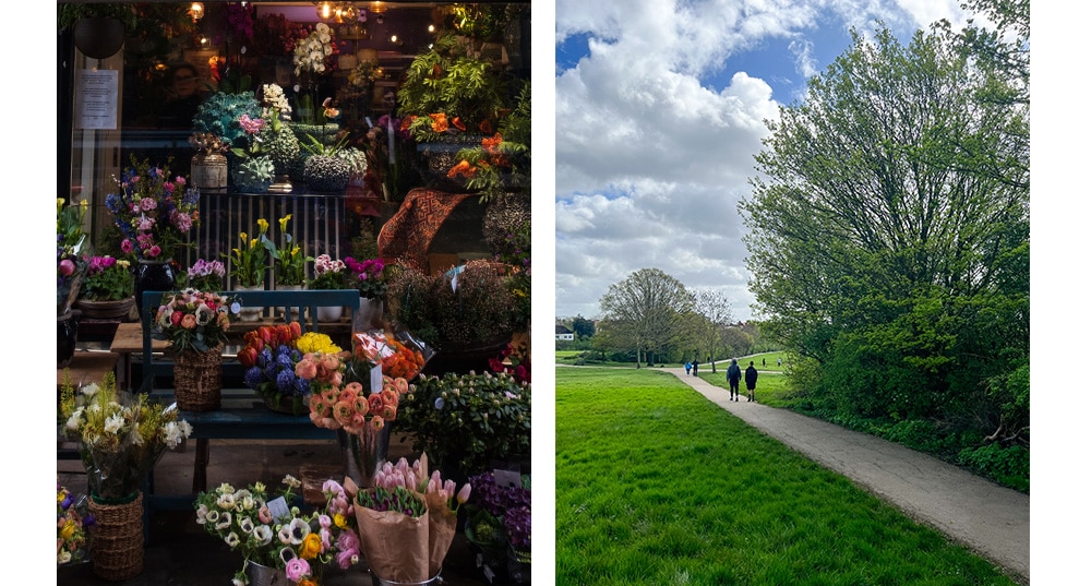 split image with flower shop on the left and public footpath in hampstead heath on sunny day
